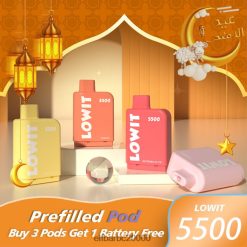 Elf Bar Riga - ELFBAR LOWIT 5500 iepriekš uzpildīta pāksts melleņu ledus 42D8FX374